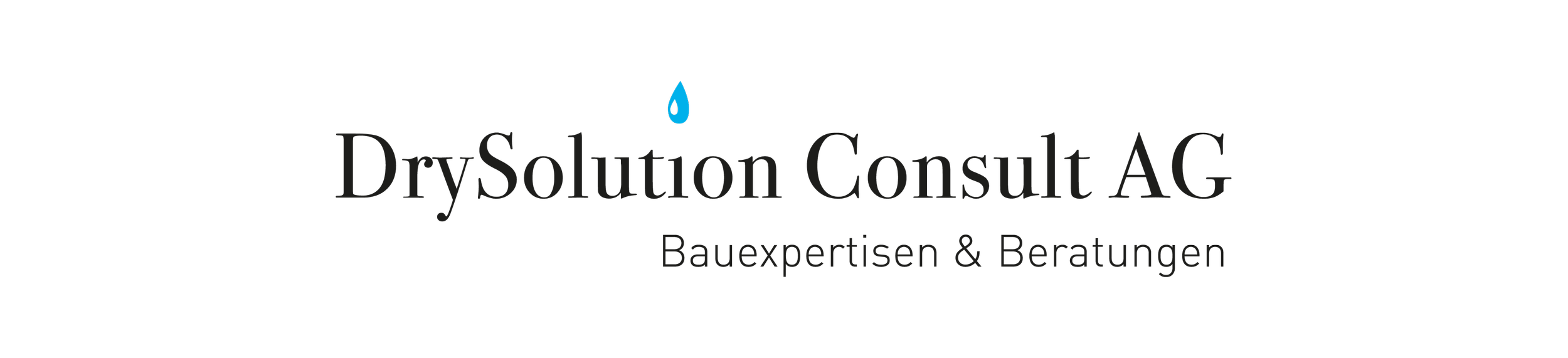Logo der Firma DrySolution Consult AG mit blauer Wassertropfen über dem Namen, darunter der Slogan Bauexpertisen & Beratungen