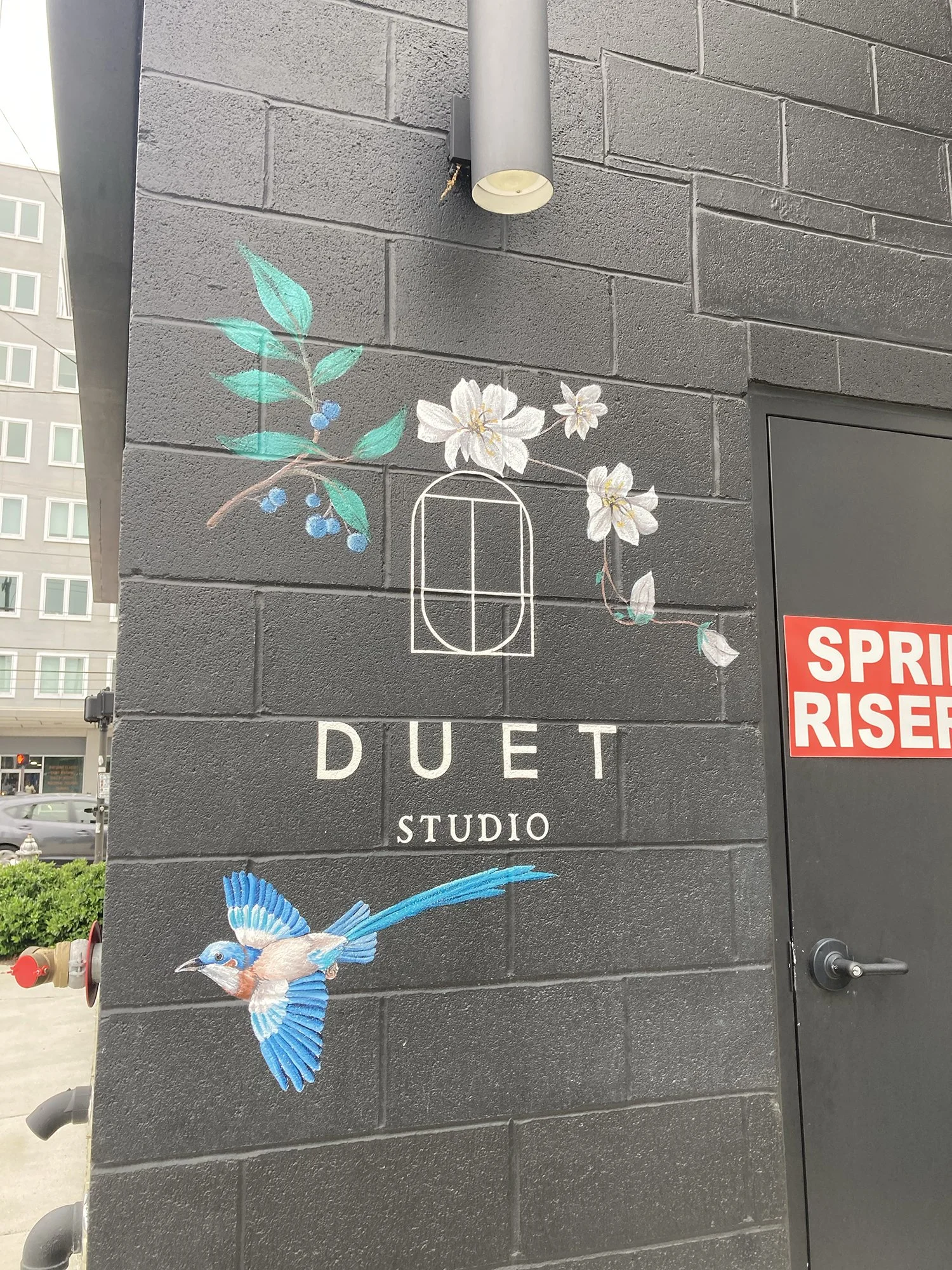 AA07969B-90D4-40EB-954B-CDF2CDF55628 copy.jpg