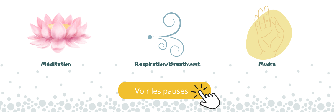 banniere Site web  WAPPY (1).png