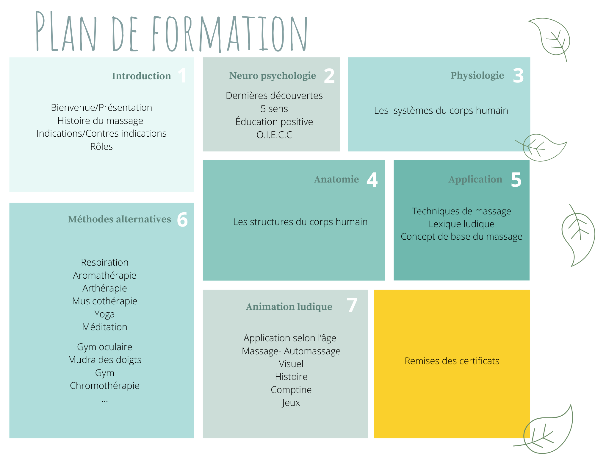 Plan de formation animateur wappy