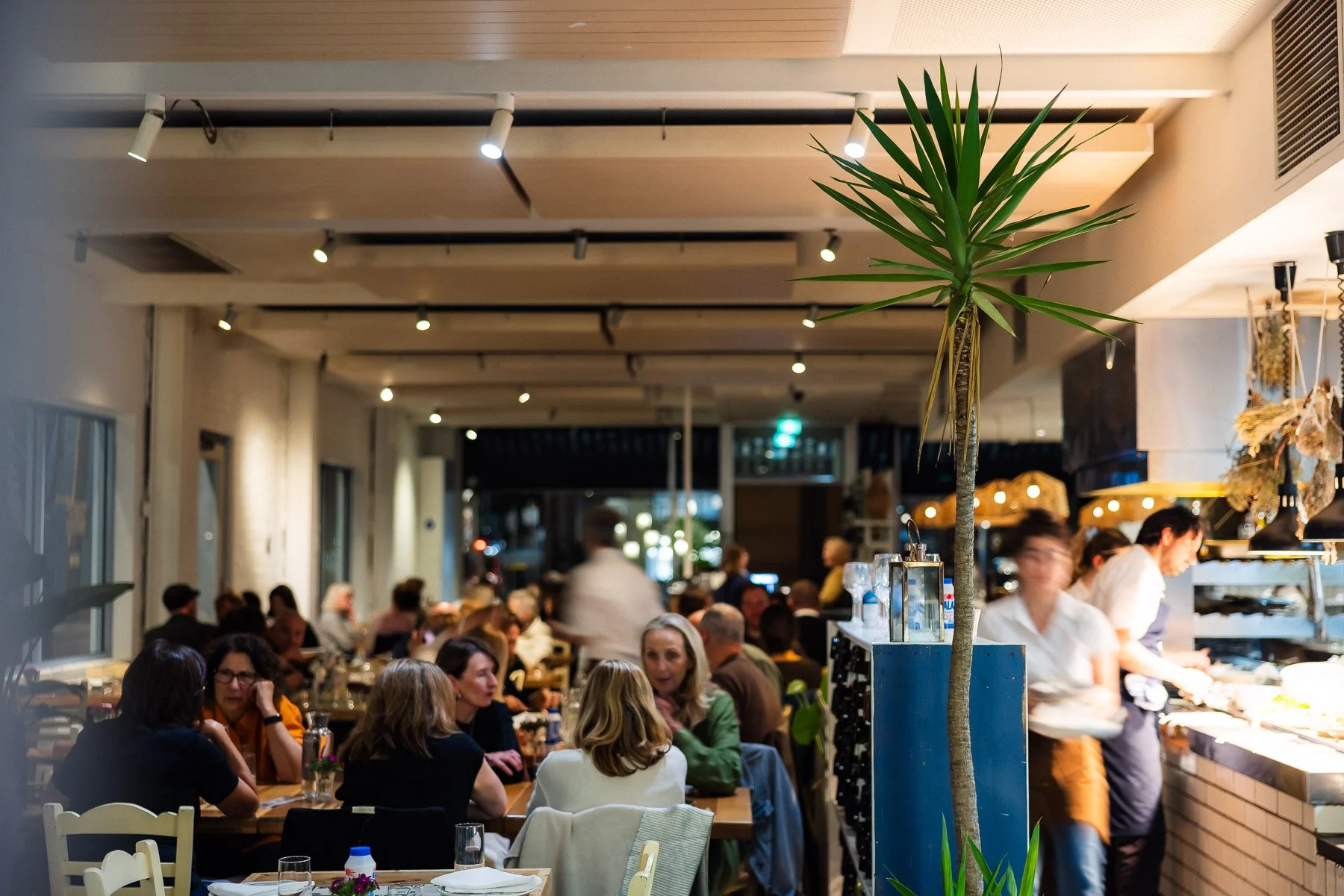 250501Taverna-104.jpg