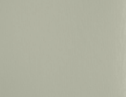 Close-up image of a plain, light-colored wall with a subtle texture.