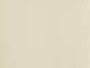 Blank beige or light tan background