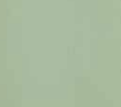 A plain light green background with no distinct objects or details.