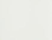 Blank white background with no objects or features.