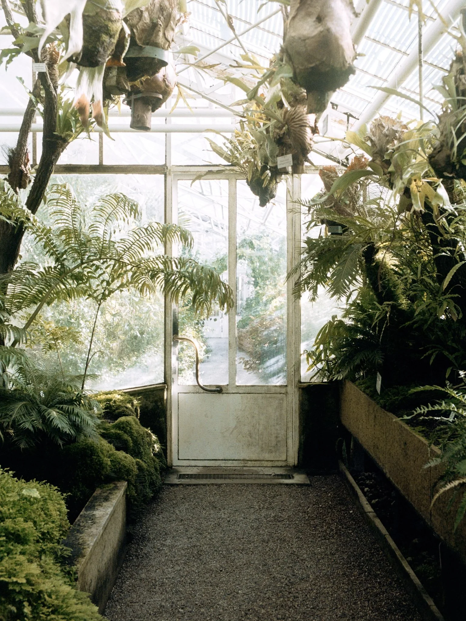 Portra 160