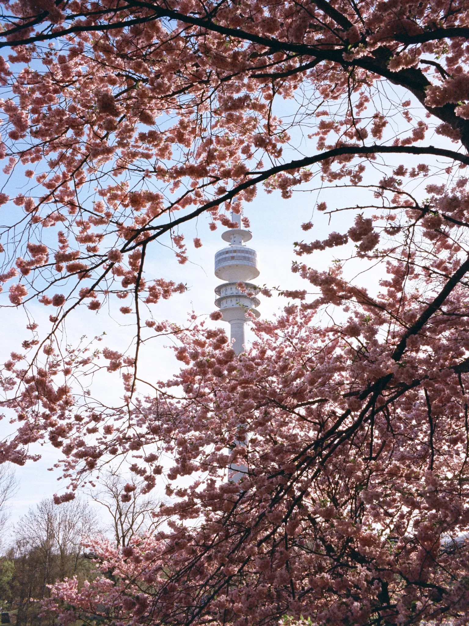 Kodak Vision 250D
