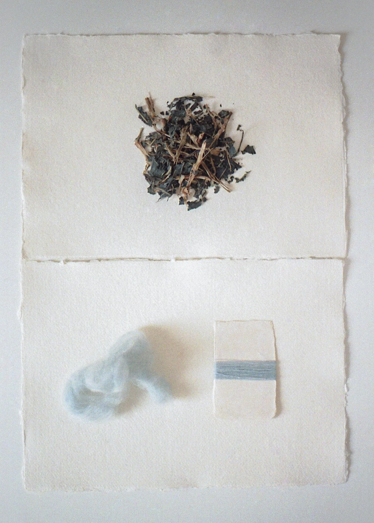 05.jpg