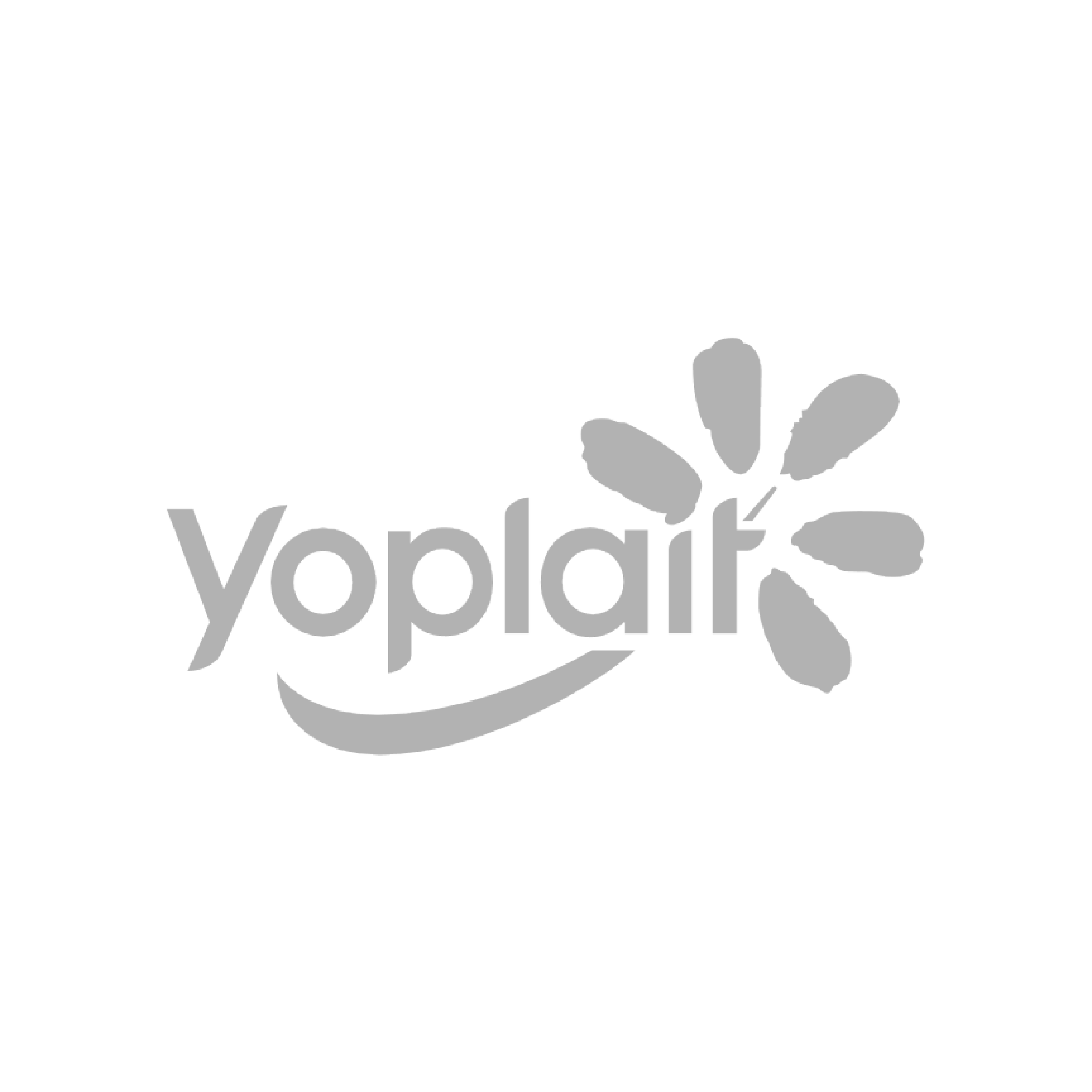 Yoplait logo with a flower-like design next to the word 'Yoplait' in gray.