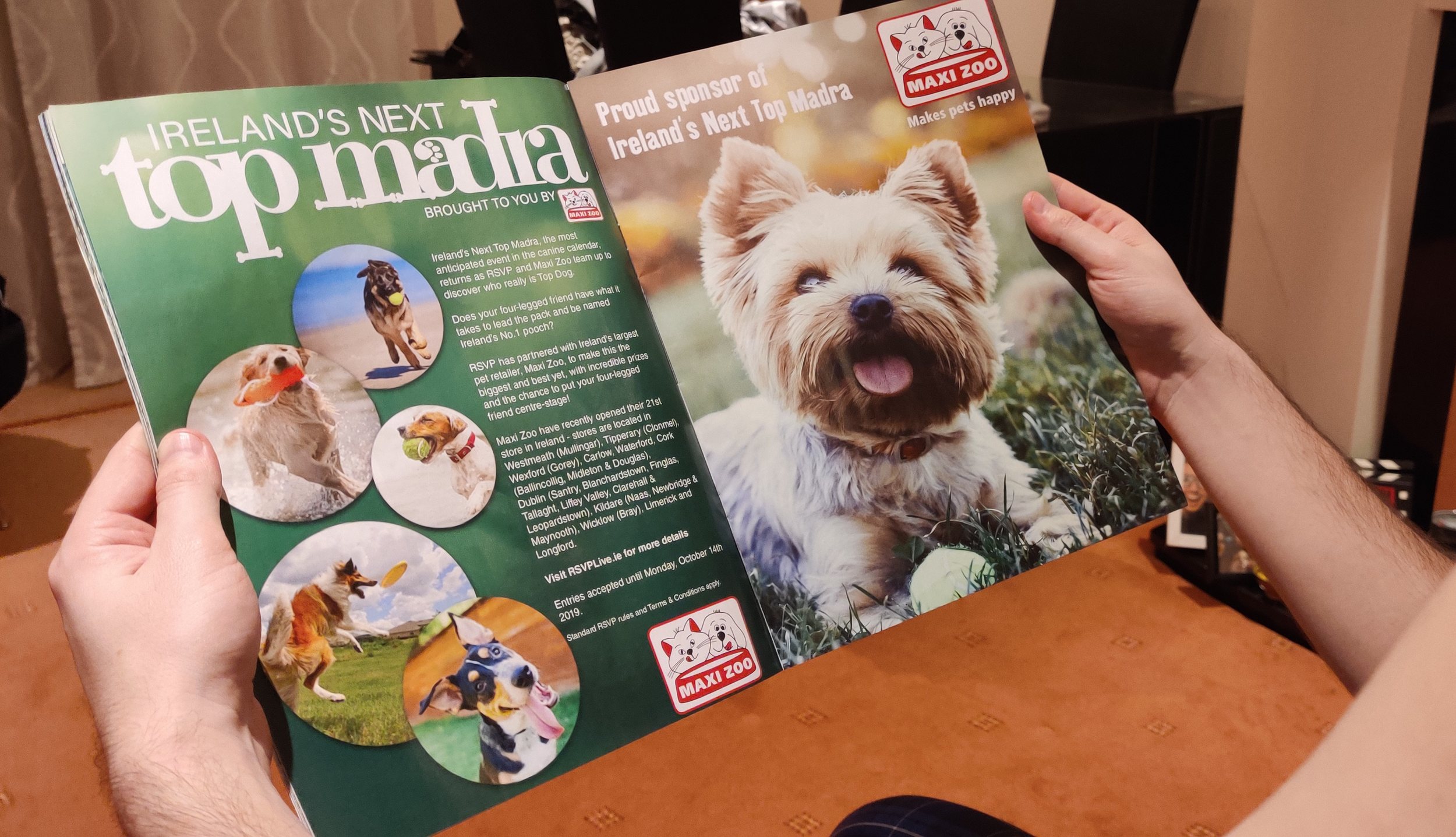 A person holding an open magazine featuring puppies and dogs, with a larger picture of a happy small dog on the right page and several images of dogs on the left page, along with text promoting Ireland's Next Top Madra dog competition sponsored by Maxi Zoo.