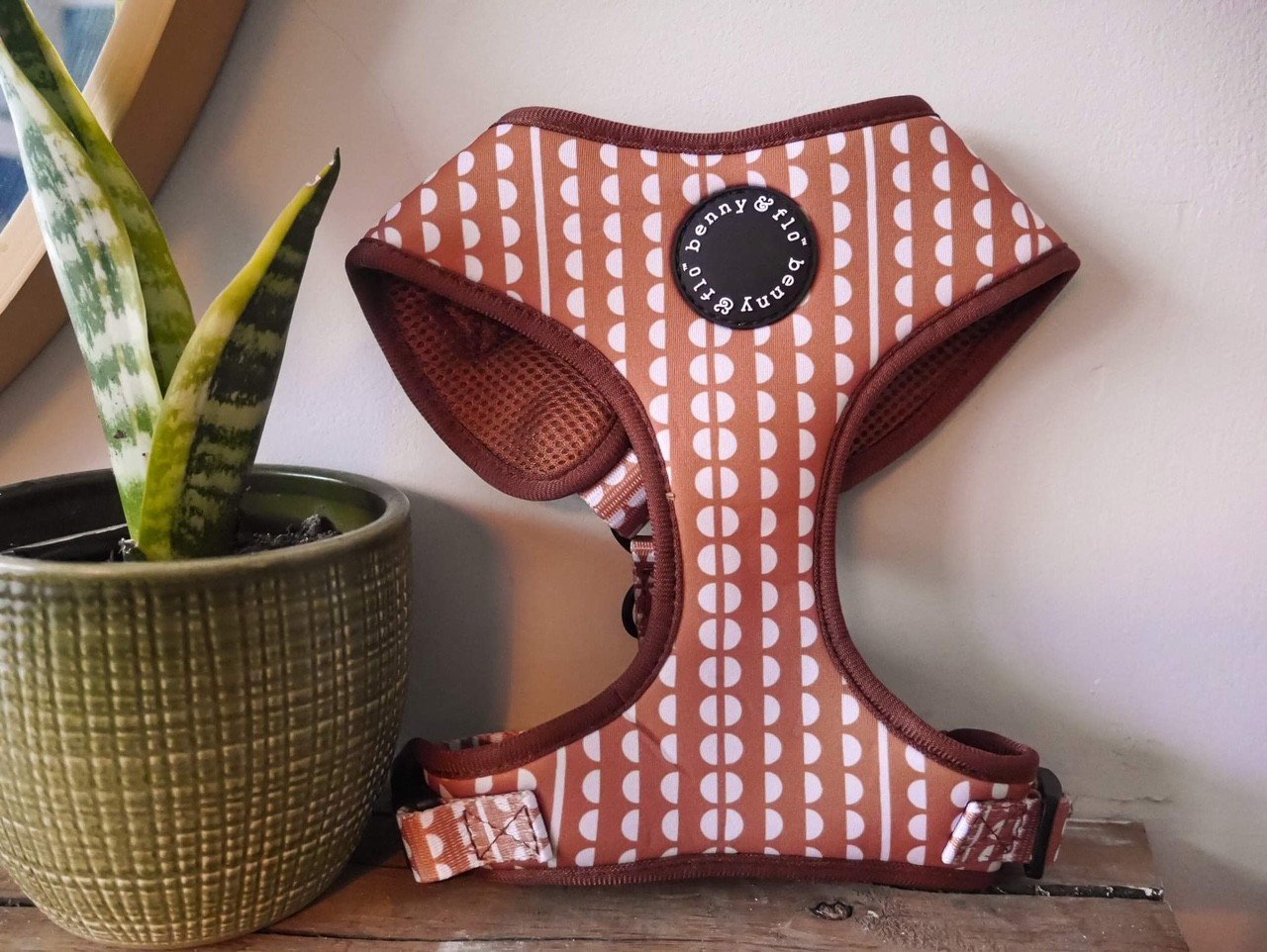 gingerbread dog harness.jpg