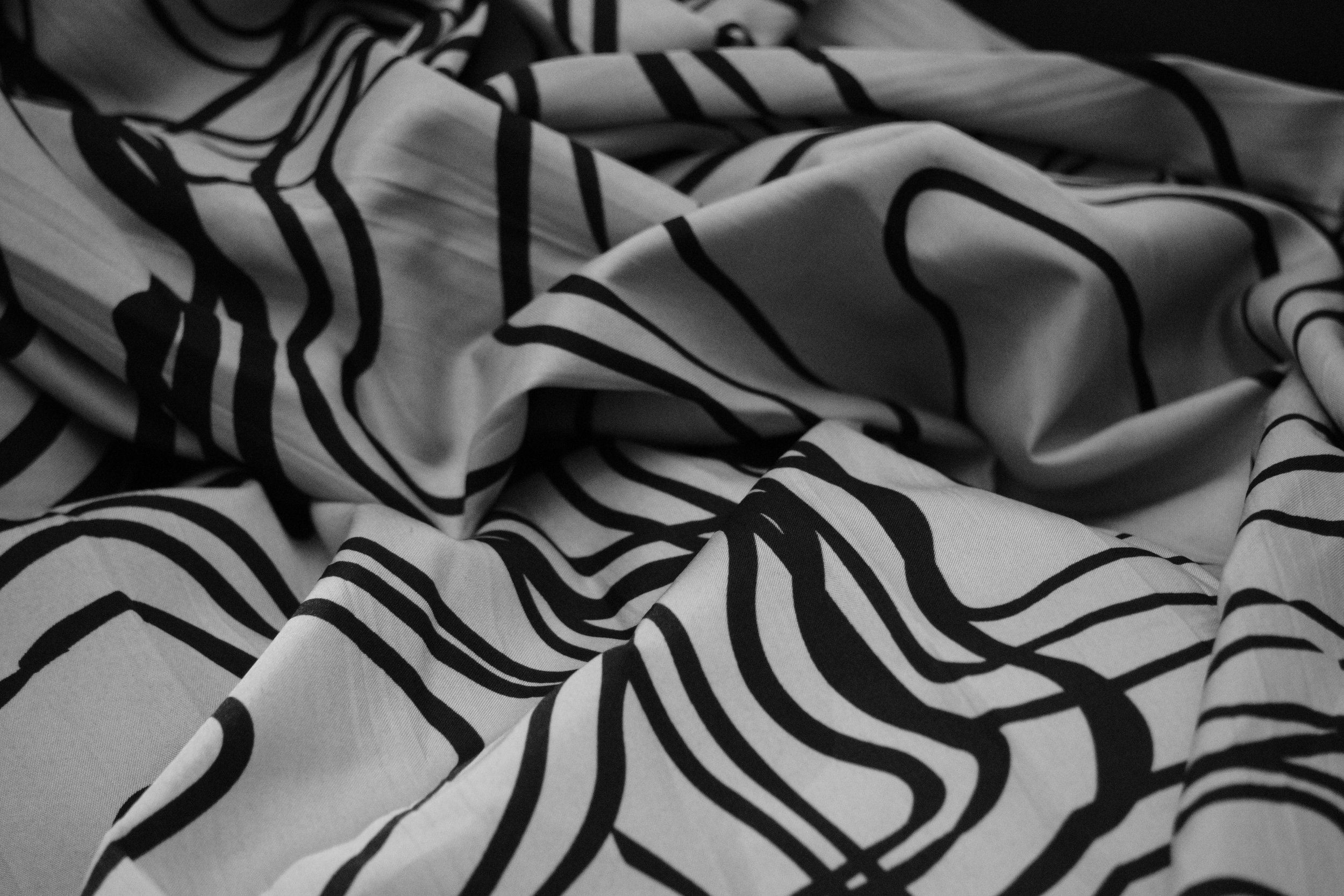 _DSC9365.jpeg