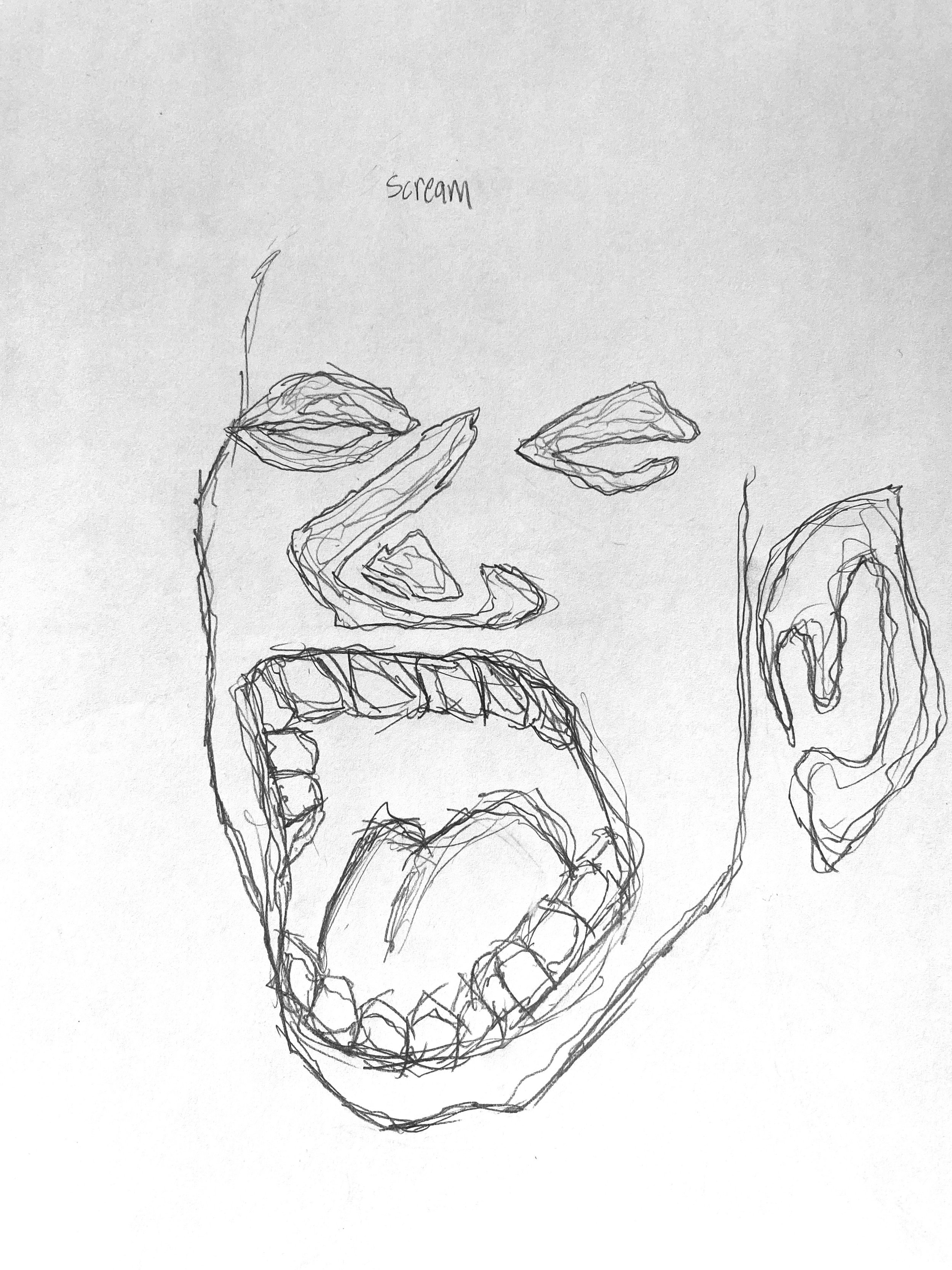 "Scream", Sketch pencil on white paper, 2024