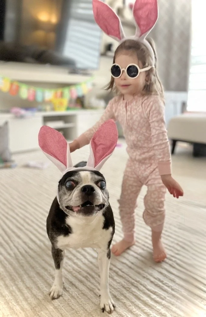 Practicing Safe-Play With Pets