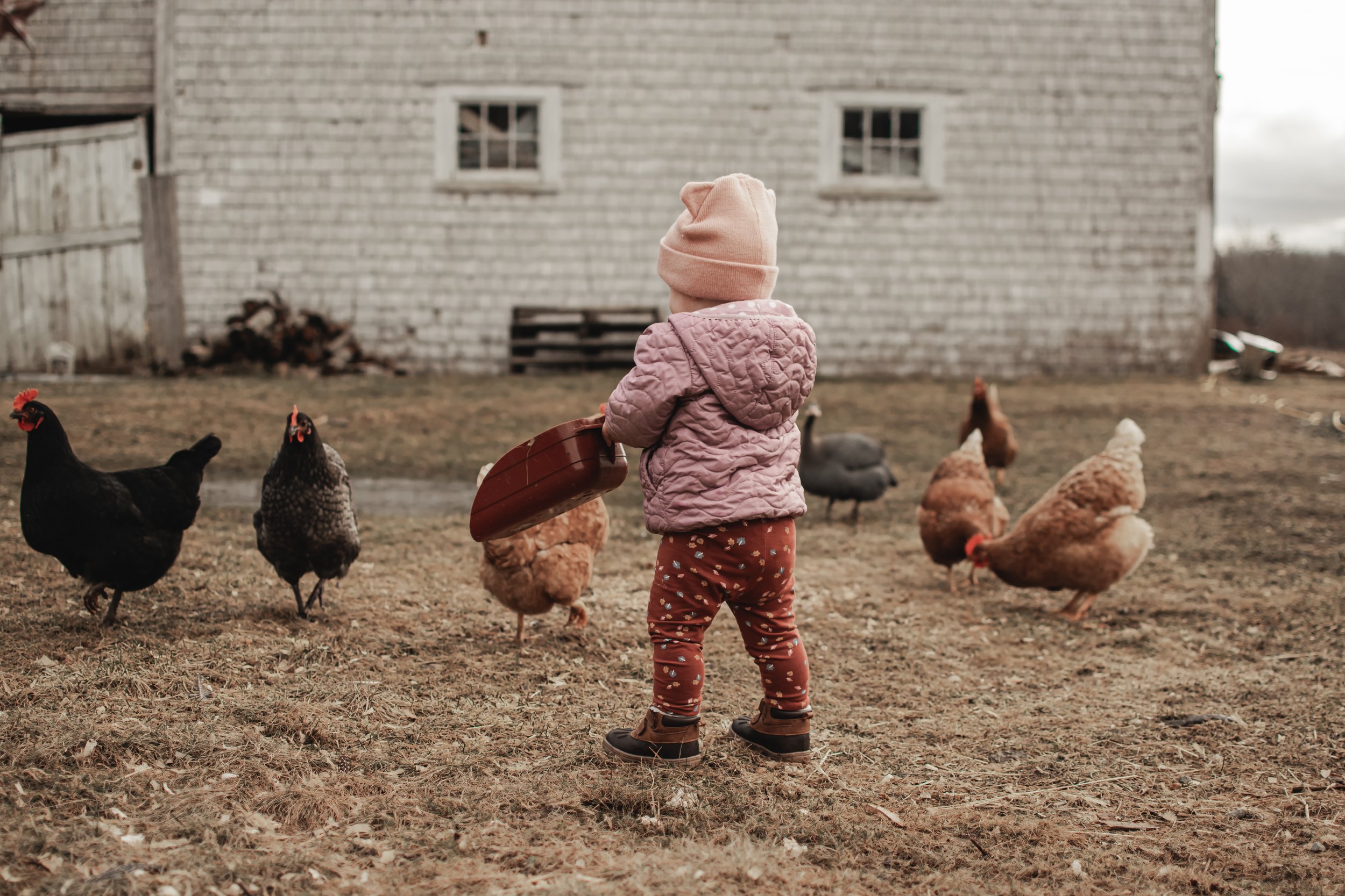 NOVASCOTIAFLOWERFARM-1.jpg