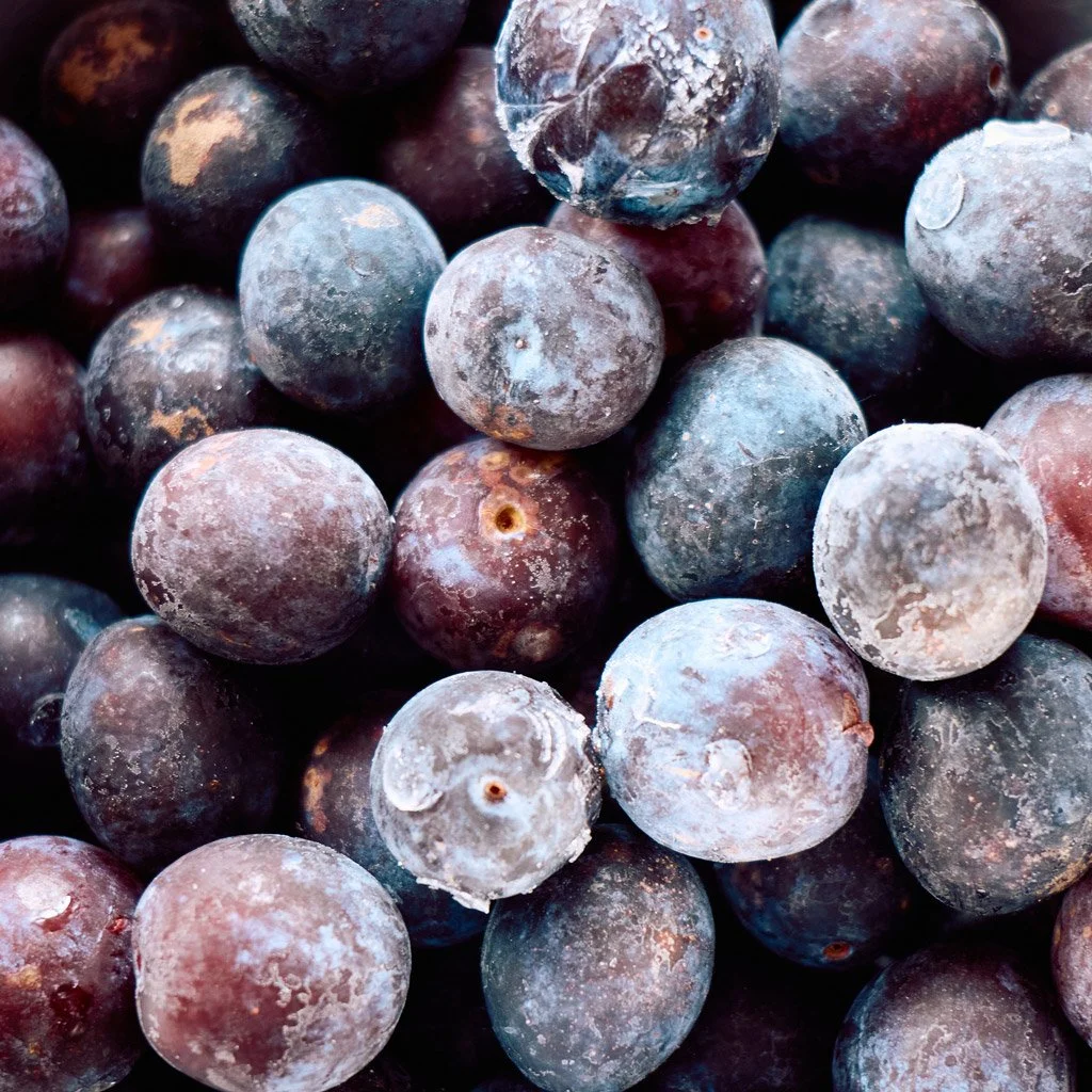 Frozen damsons ready to be crushed before going into a Kilner jar to make damson gin.
