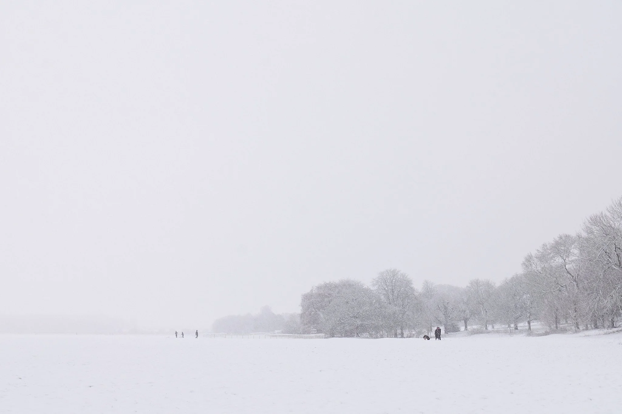 Snow-on-the-Knavesmire-York.jpg