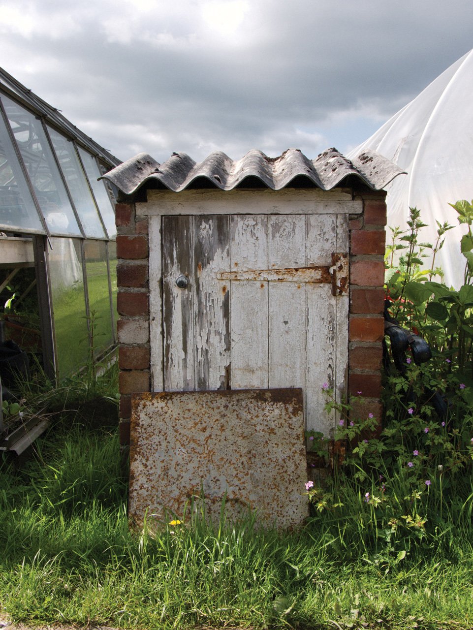 A small red brick shed with white wooden door and corrugated iron roof sits between two greenhouses.