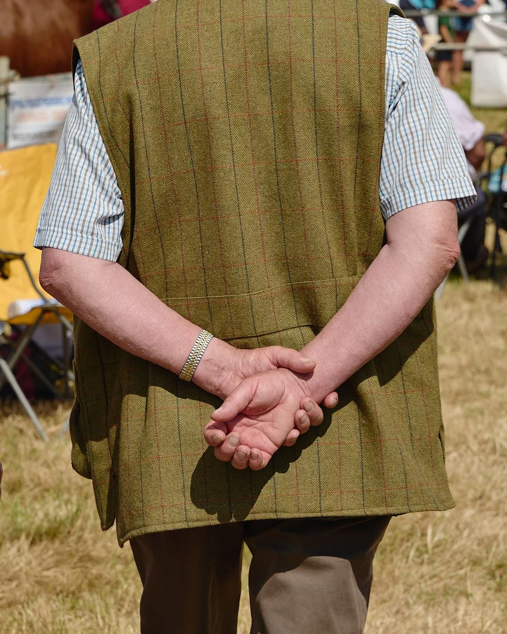 Back of a man wearing a tweed jacket with no sleeves and holding his hands behind his back.