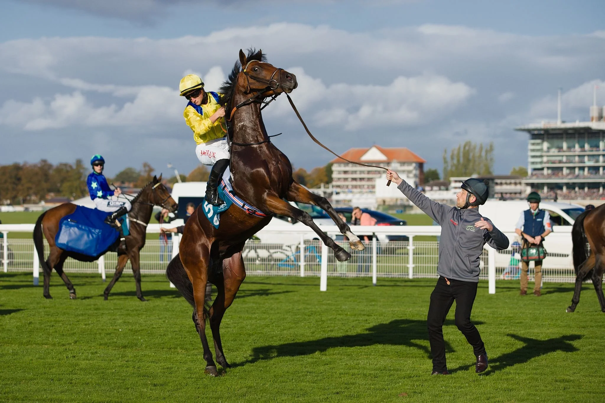 Editorial photoshoot in Yorkshire – jockey Tom Marquand on the rearing chestnut horse Garden Route at York Racecourse.