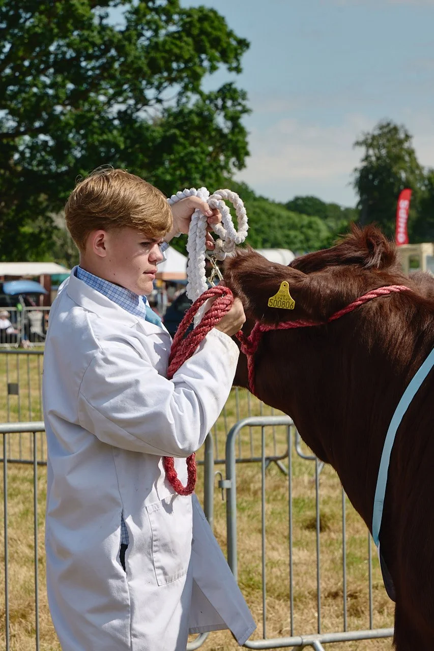 A young man in a white coat holding his cows lead tight during judging.