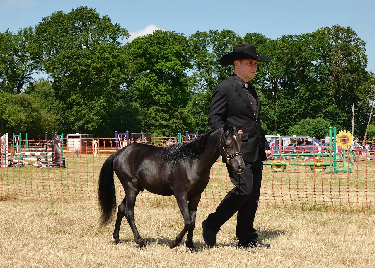 A man dressed all in black with a black stetson hat leading a tiny black pony through a field on a baking hot day.