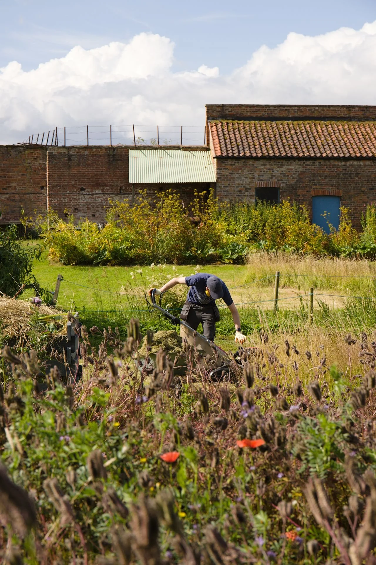 Portrait of a man mowing in a walled garden in North Yorkshire. It is a hot sunny day. There are wildflowers at the front of the picture and a red brick building at the rear. In the middle is a man bending over a mower to start it.