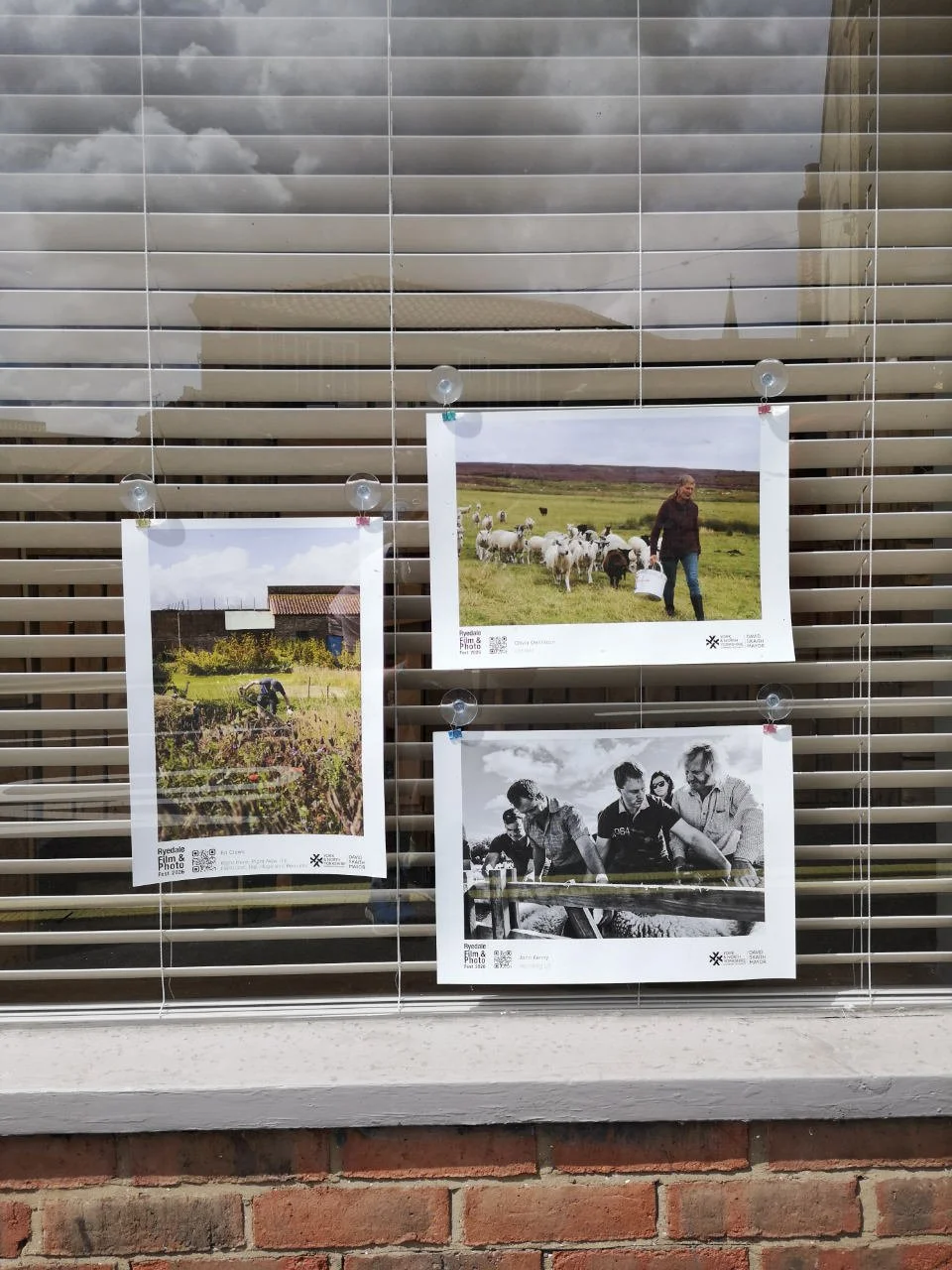 Three images in the Beecham Weigh window in Malton. All are rural themed, one is gardening, one is a herd of sheep being fed and another looks to be a cattle market.