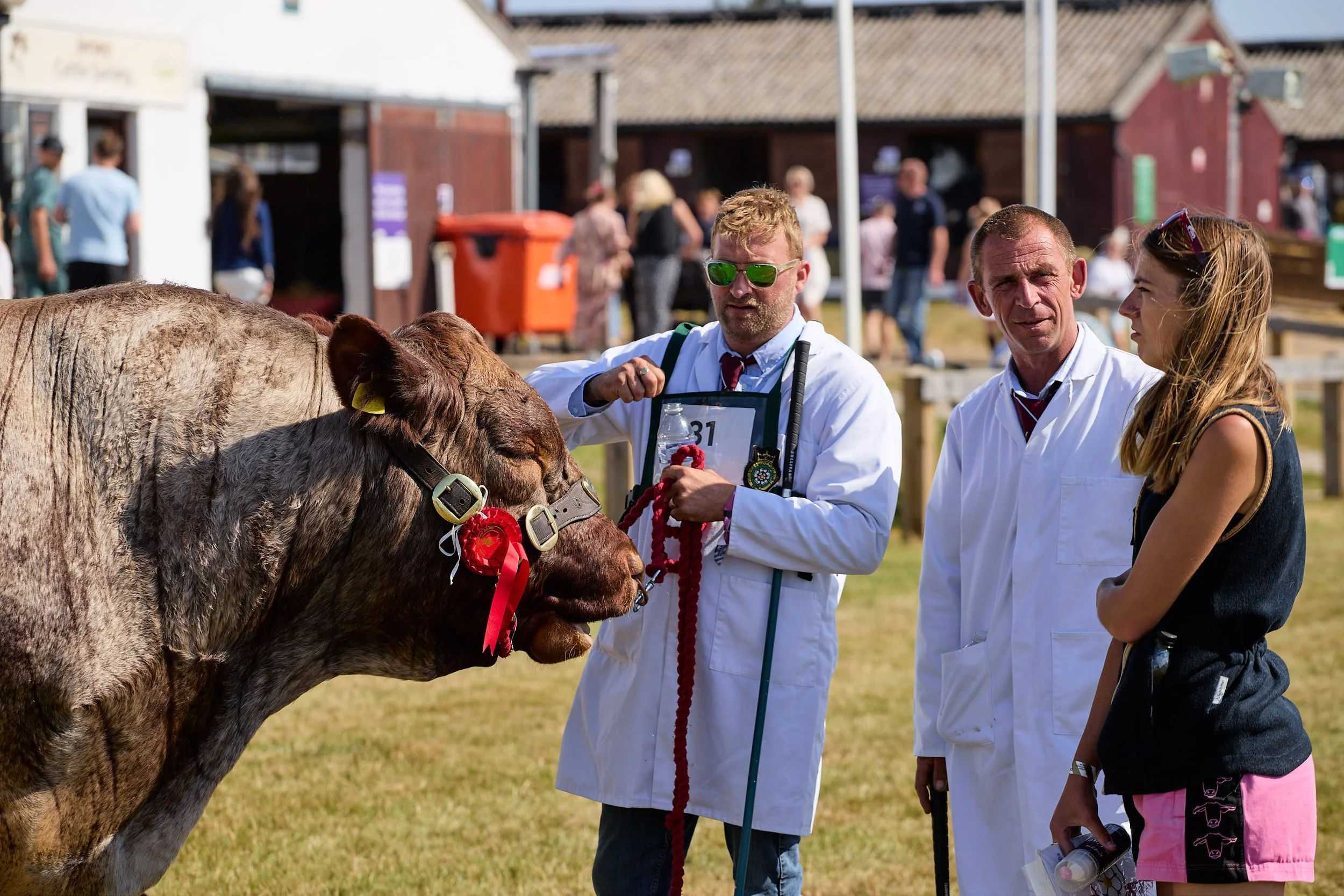 Three people with a prize winning cow at the Great Yorkshire Show.