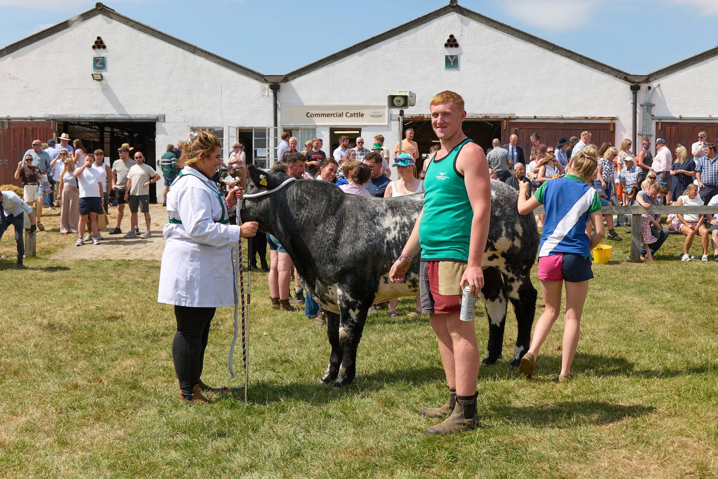 Exhibitors getting ready to show their cow in competition at the Great Yorkshire Show 2026.