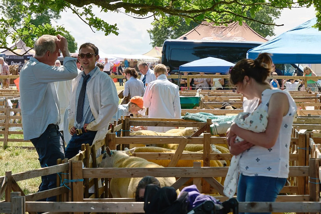 People in the shade of a tree next to the sheep pens. Two men are casually chatting, a woman holds a baby while talking to her friend sitting on the floor and a boy in an orange cap leans over to look at the sheep in the pen.