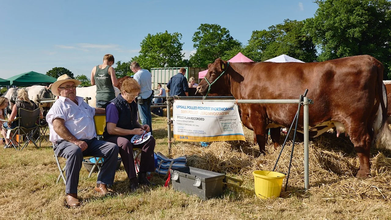 Owners of Upsall Polled Pedigree Shorthorns waiting for the start of the competition at the country fair.