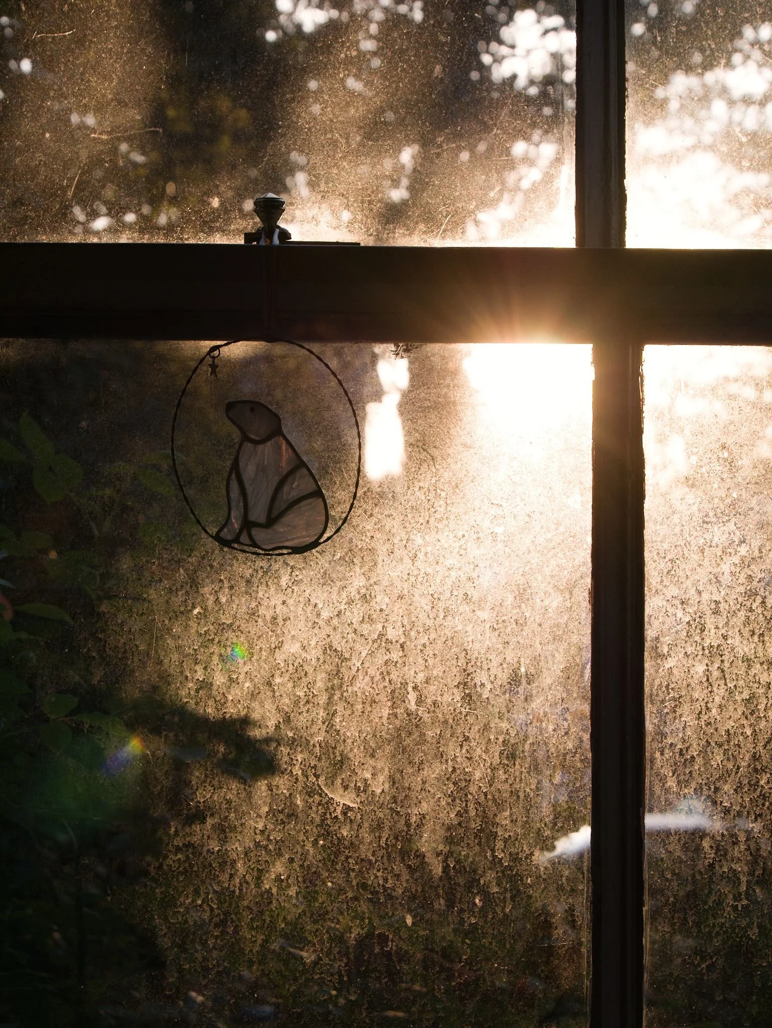 Looking directly out of a sunlit window with a polar bear glass ornament hanging on the frame.