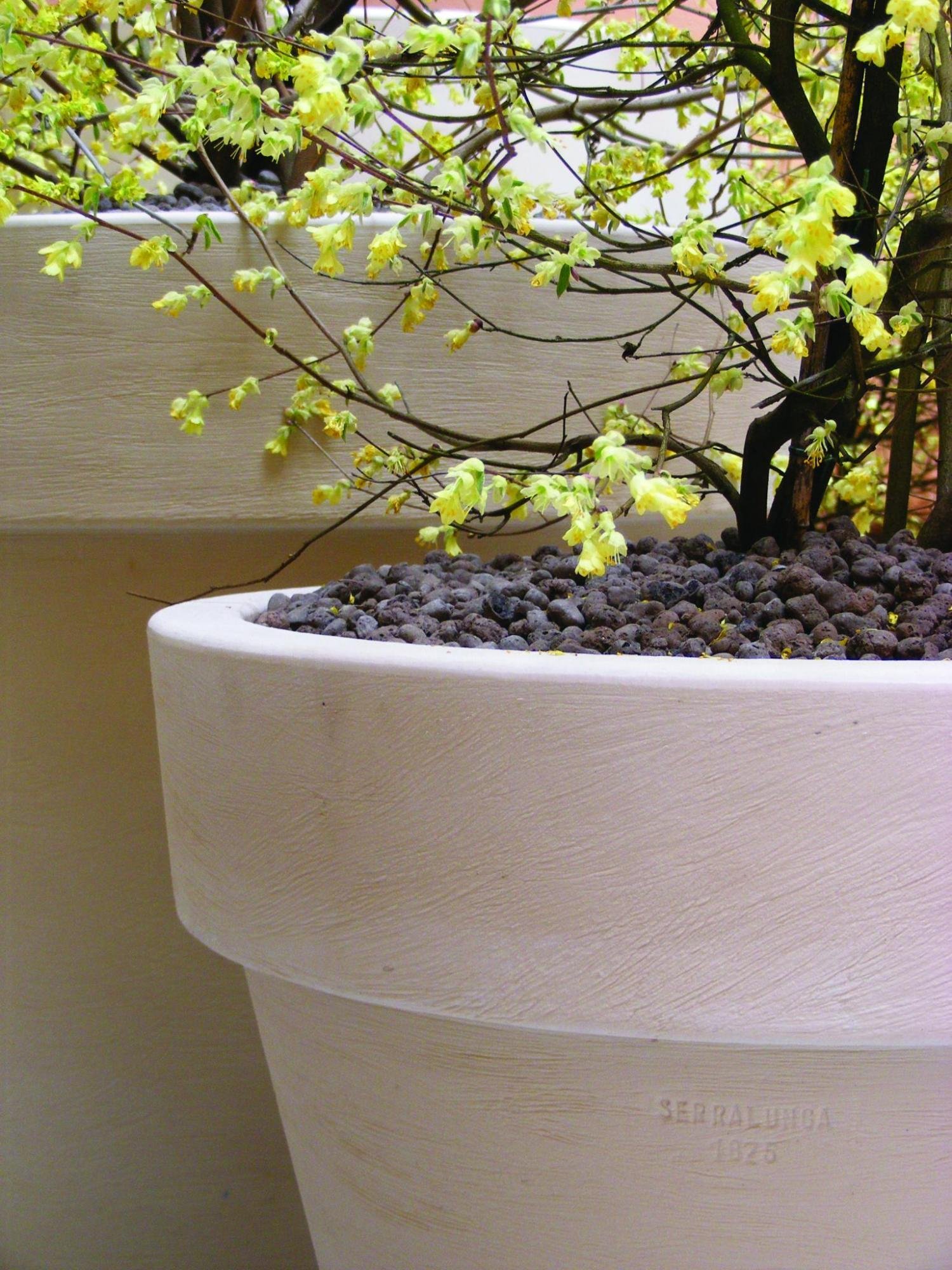 Vaso Bordato Liscio - Serralunga