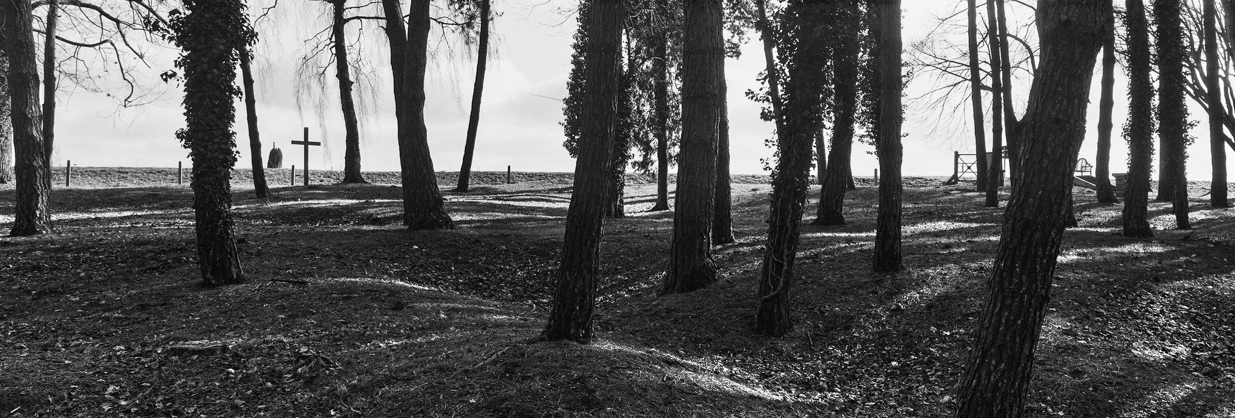 Sheffield Pals Memorial.jpg