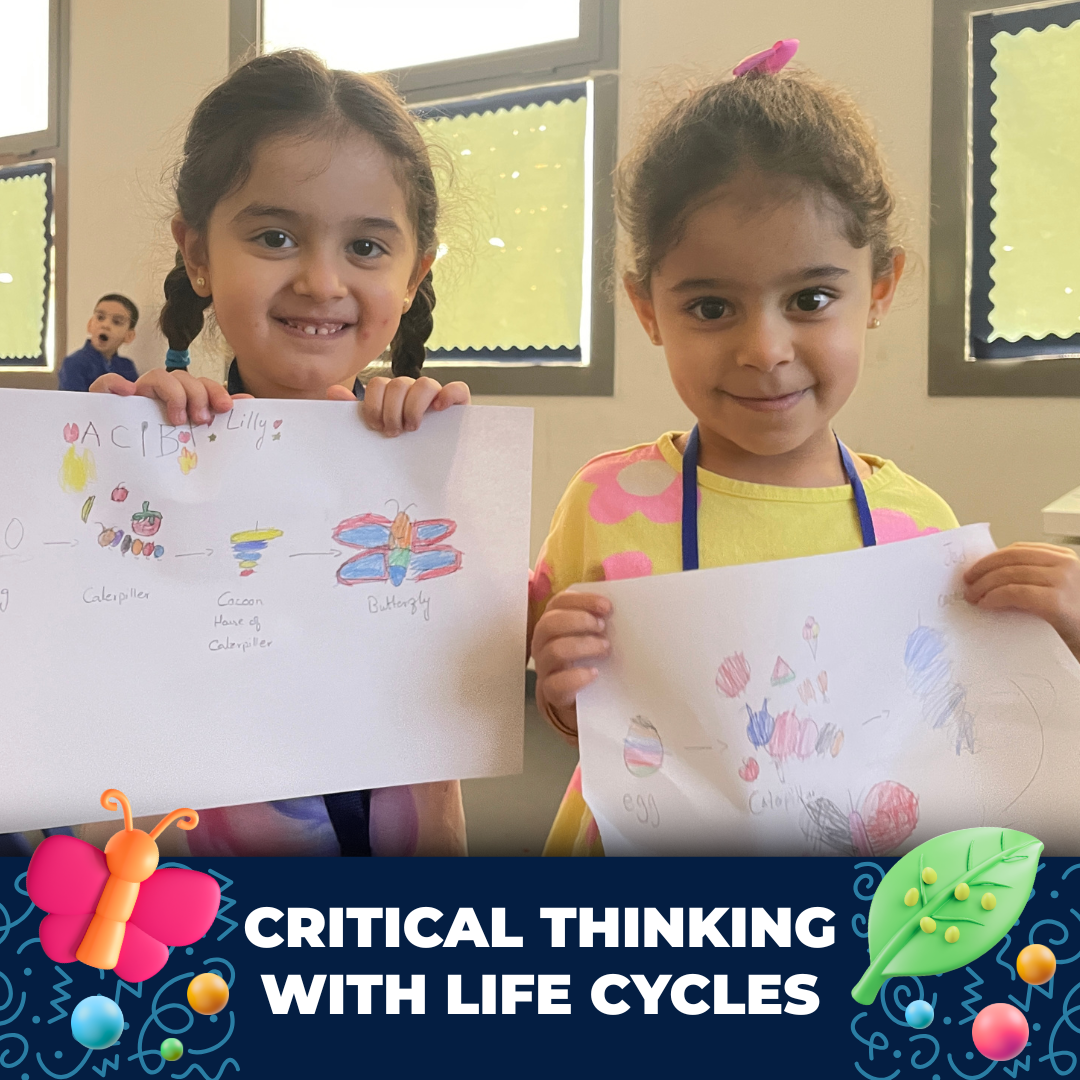 Critical Thinking with Life Cycles.png