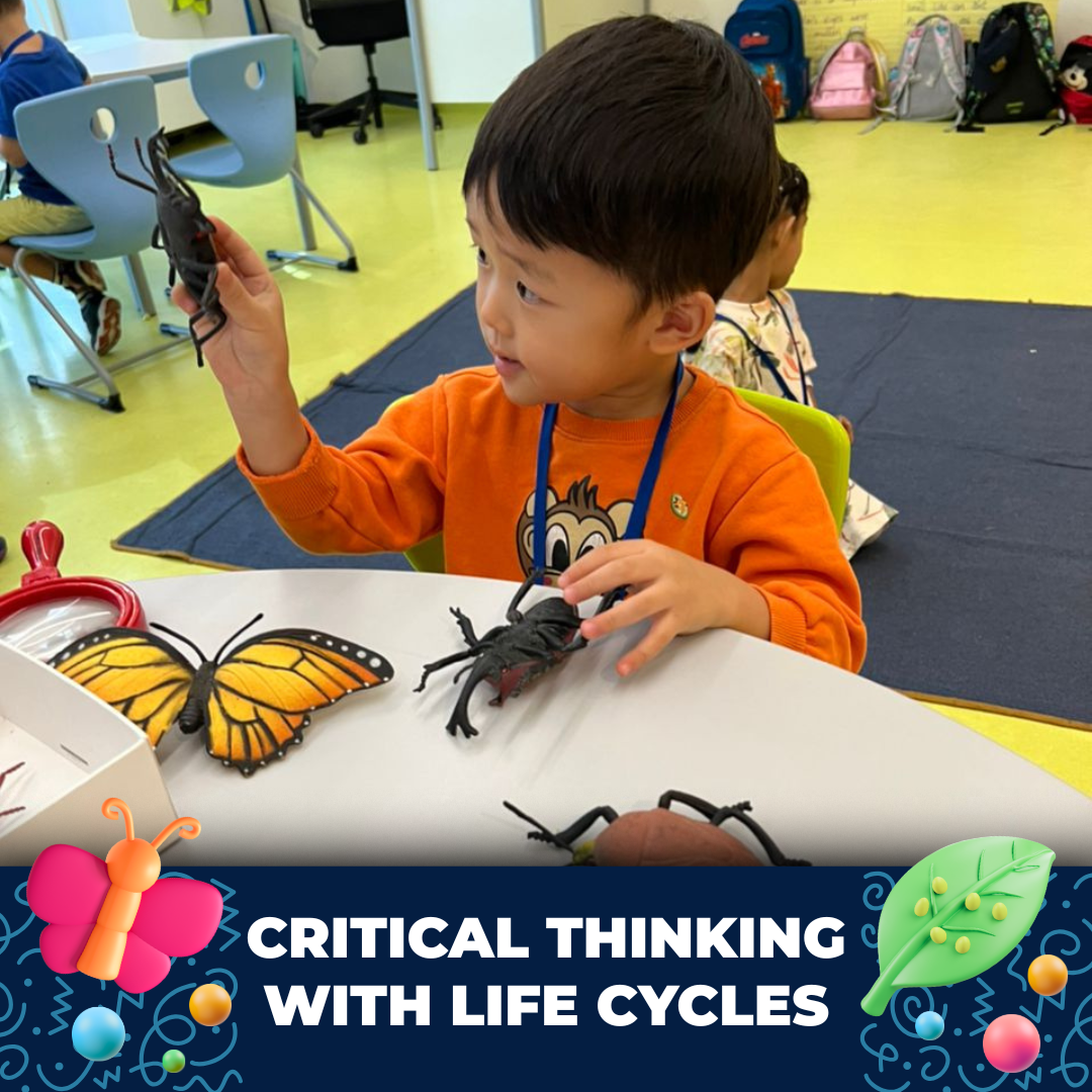 Critical Thinking with Life Cycles (2).png