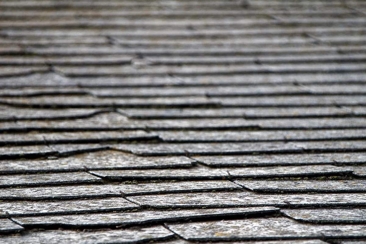 A close-up of a weathered, moss-covered roof, showing wear common in aging homes in Florida.