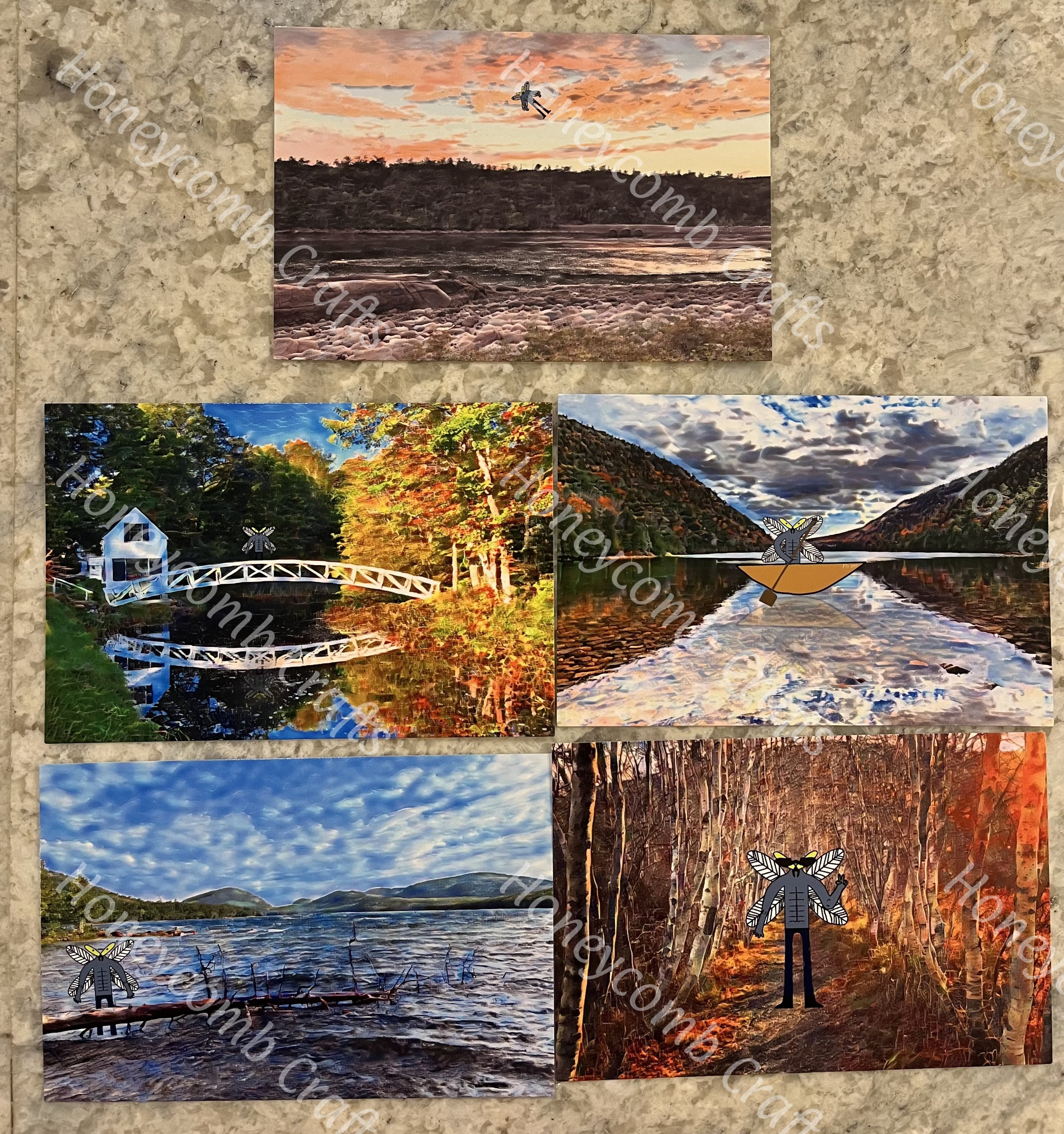 Fly Guy's Acadia Vacay Postcard Set