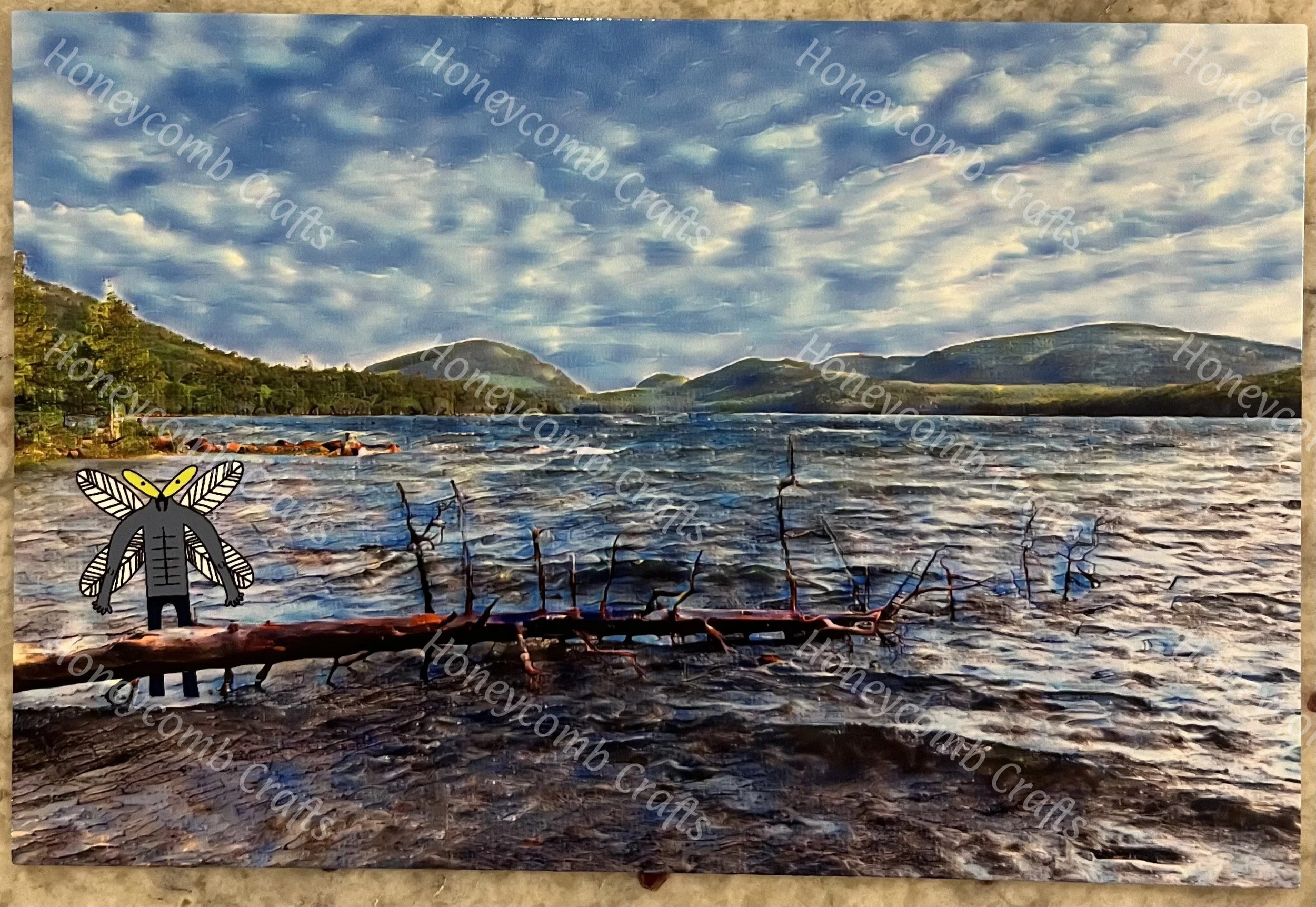 Fly Guy's Acadia Vacay Postcard: Eagle Lake