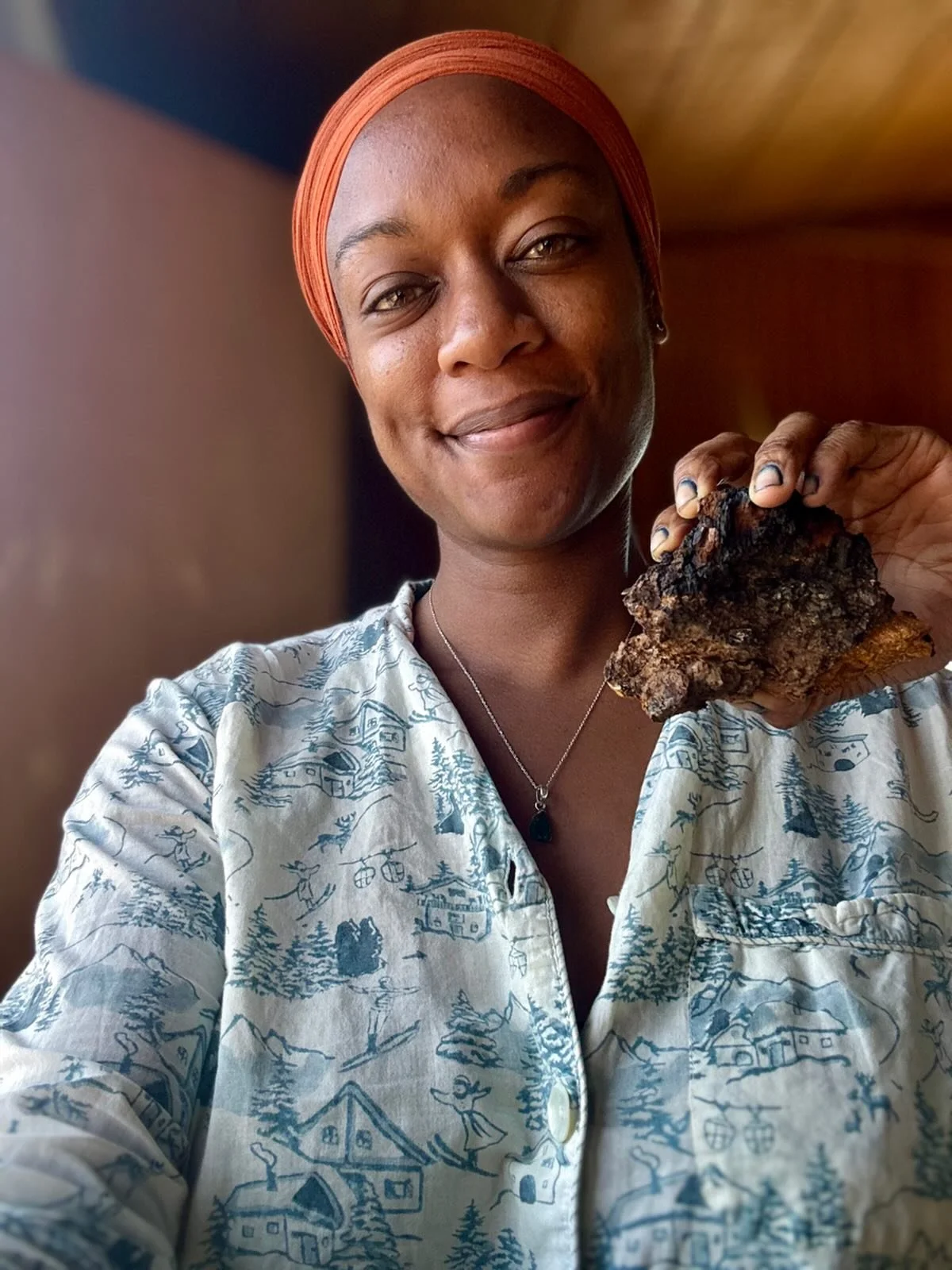 You know those visits that feel so LIFE GIVING?

I have been having so many of those these days.

I am honored to have been asked to prepare Fourth Trimester meals for a dear sister of mine. These nourishing meals will include ferments, wild and sust