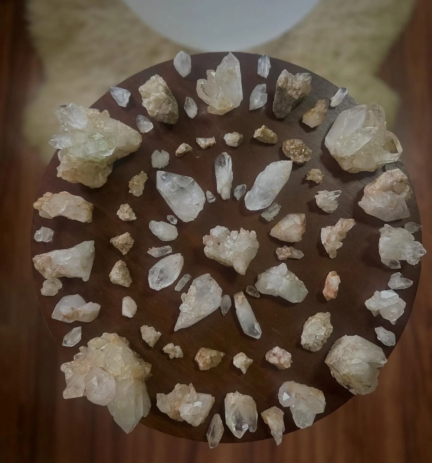 💫✨ E X P A N D I N G ✨💫

&bull;
#bluecypressbotanicals #groundedgracefulgolden #expansion #abundance #ascension