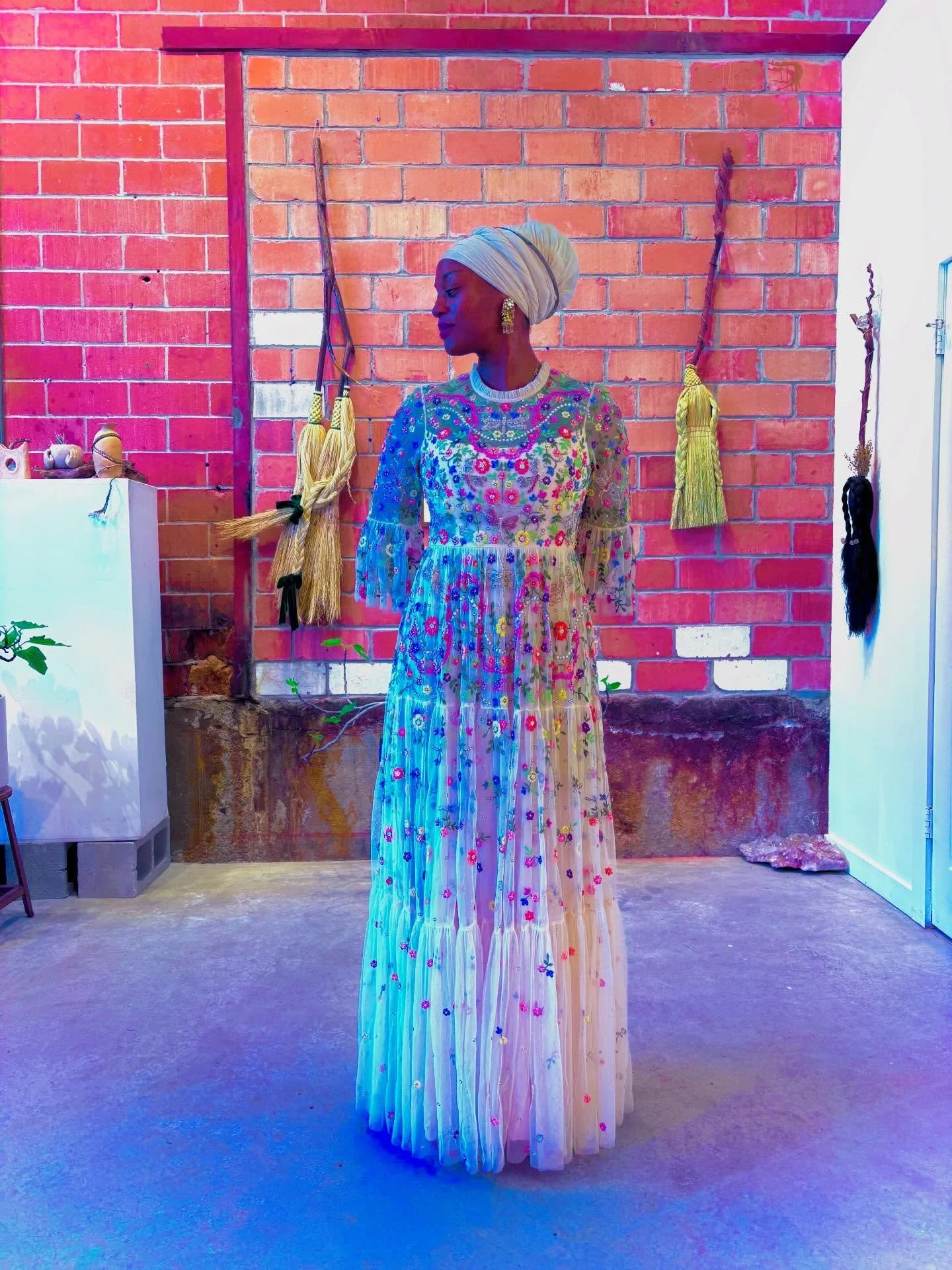 🛸 T R A N S M U T A T I O N 🛸