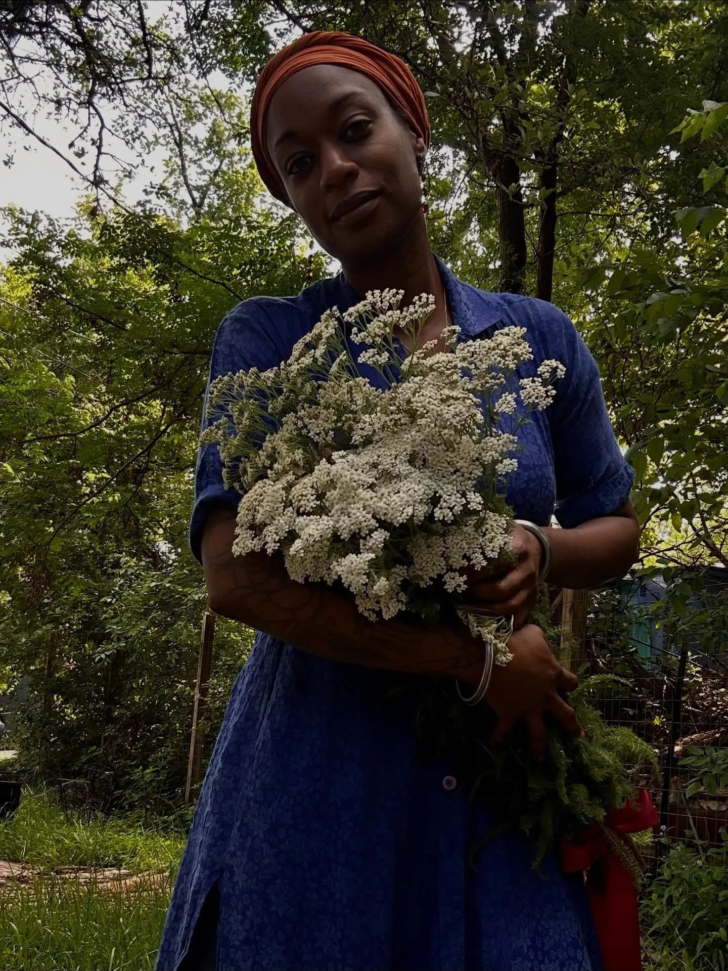 Achillea millefolium has and continues to be one of my oldest and most faithful plant allies.

Harvesting my stand of Yarrow is an annual Spring ritual that grounds me and brings me deeply into Self. I have known this herb as a powerful healer and a 