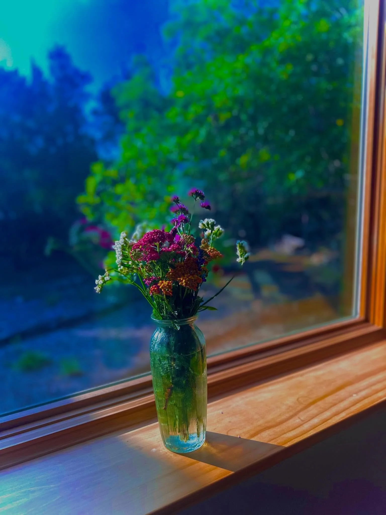 What a beautiful life. 🛸