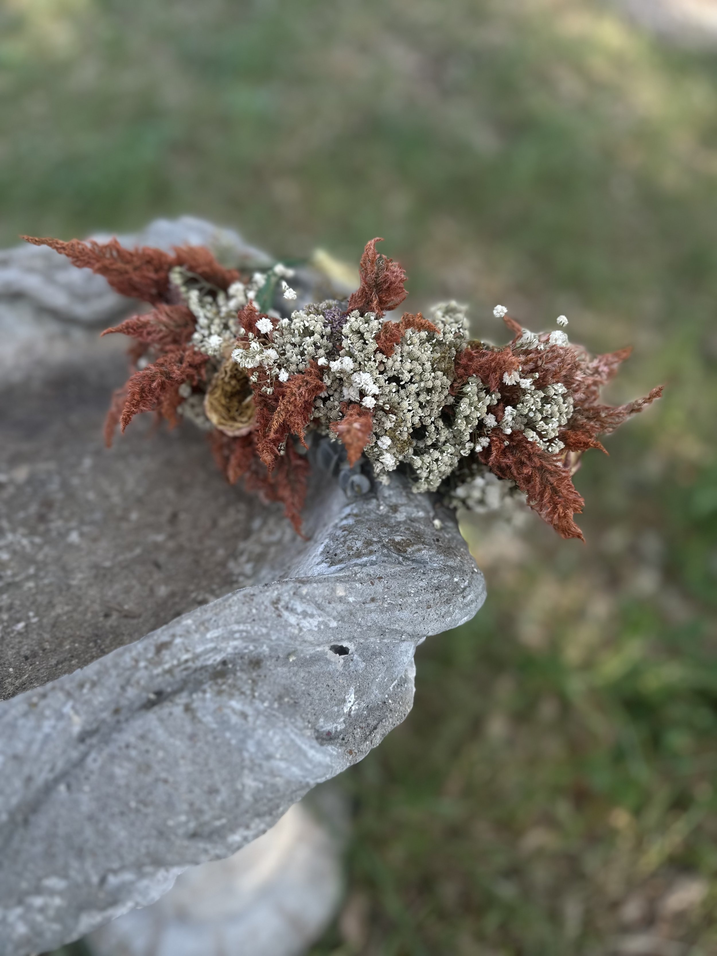 IMG_0942.jpeg