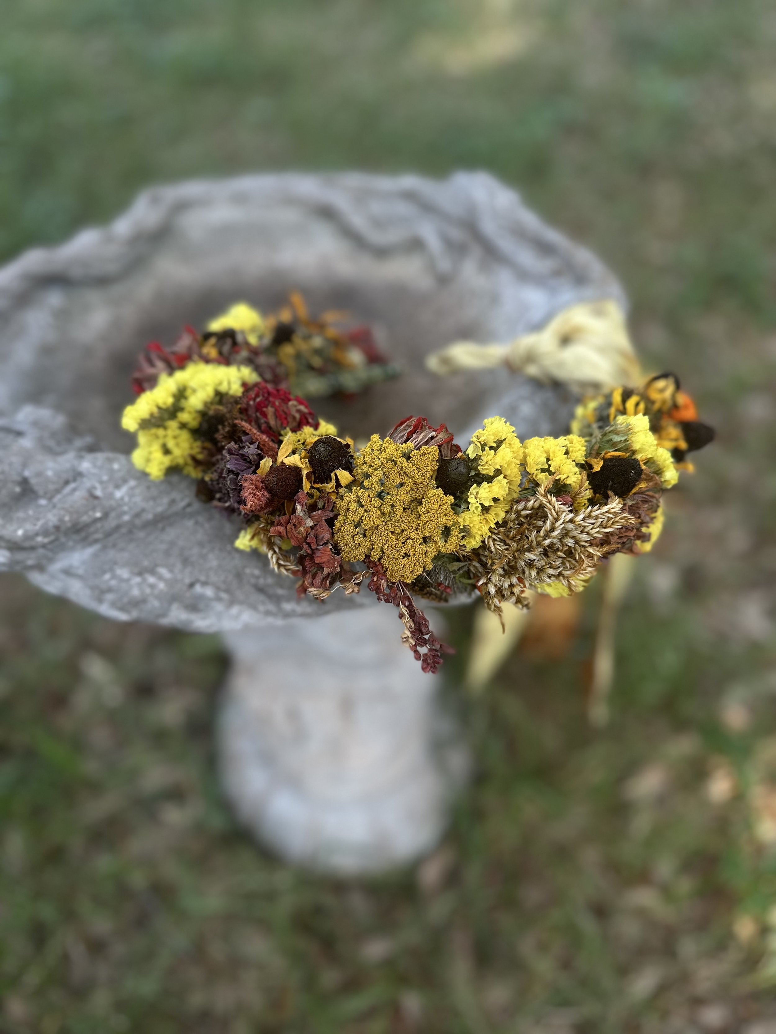 IMG_0934.jpeg