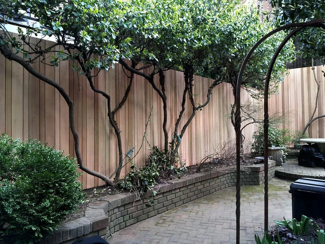 Cedar Fencing Alternating Board Widths.jpg