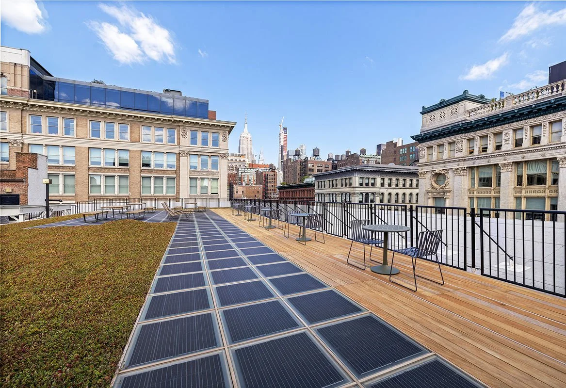 Roof deck with solar panels and cedum greenroof 2.jpg