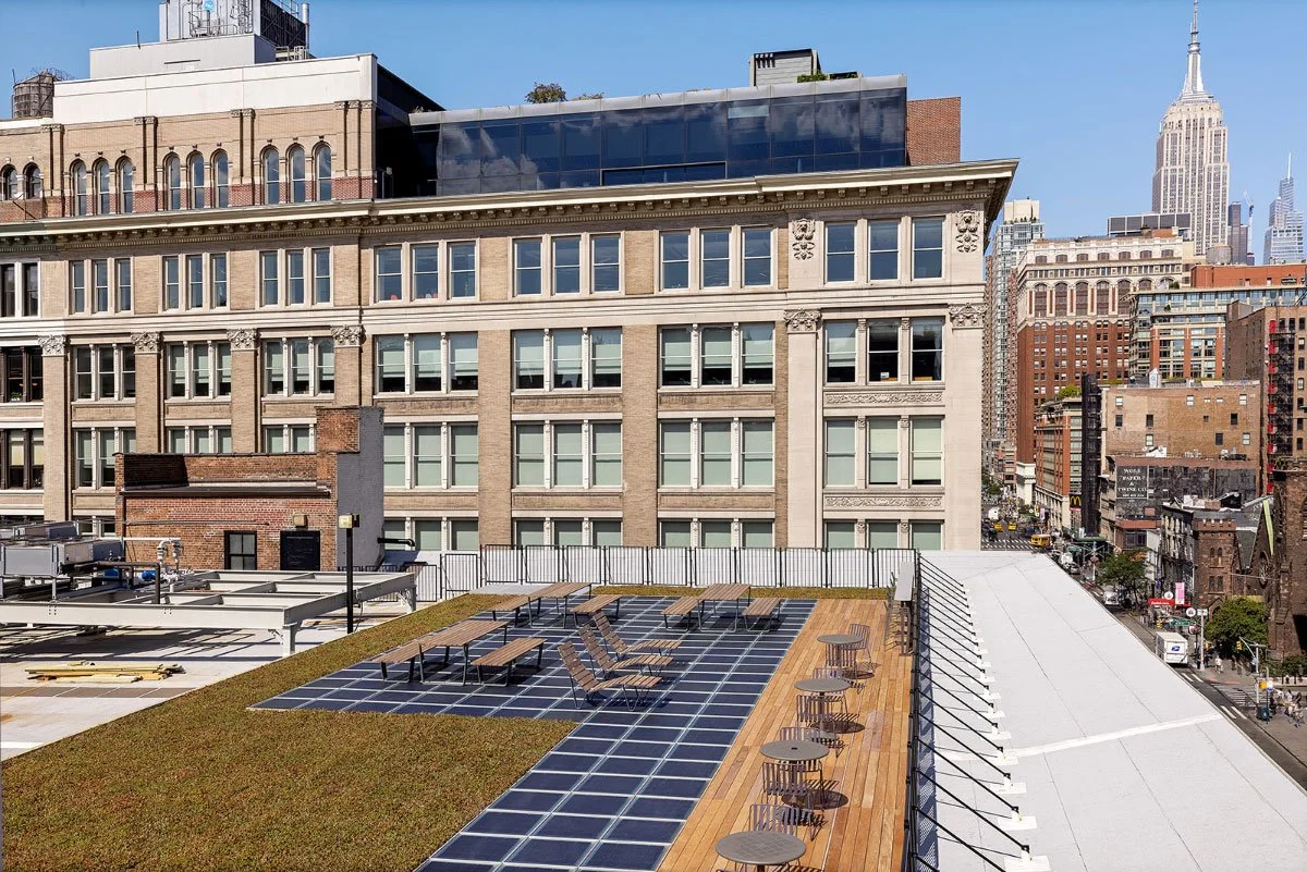 Roof deck with solar panels and cedum greenroof 1.jpg